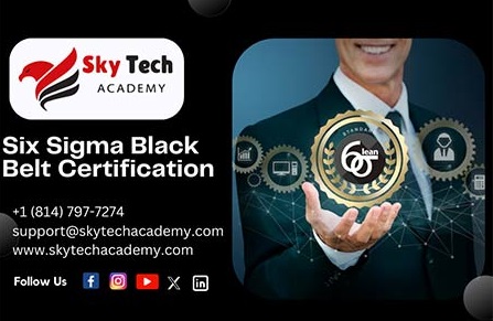Six Sigma Black Belt Certification Training